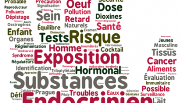 nuage de mots chimique risque